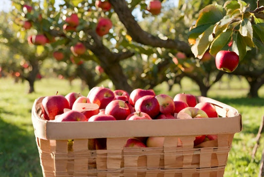 Apple Harvest Candle