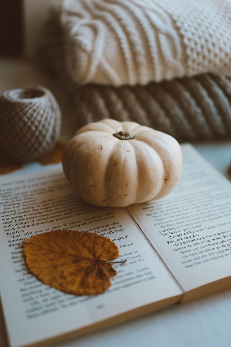 FALL COLLECTION